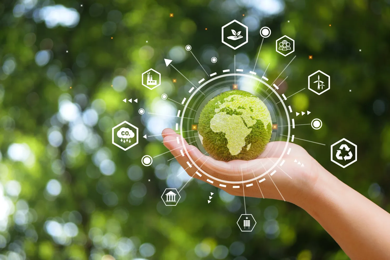 Mealough sustainability image